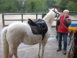 Thanet Disabled Riding Centre