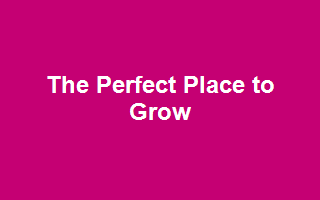 The Perfect Place to Grow