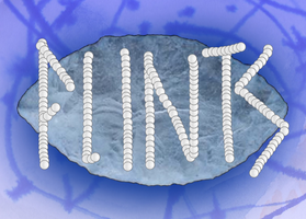 FLINTS Coastal Permaculture